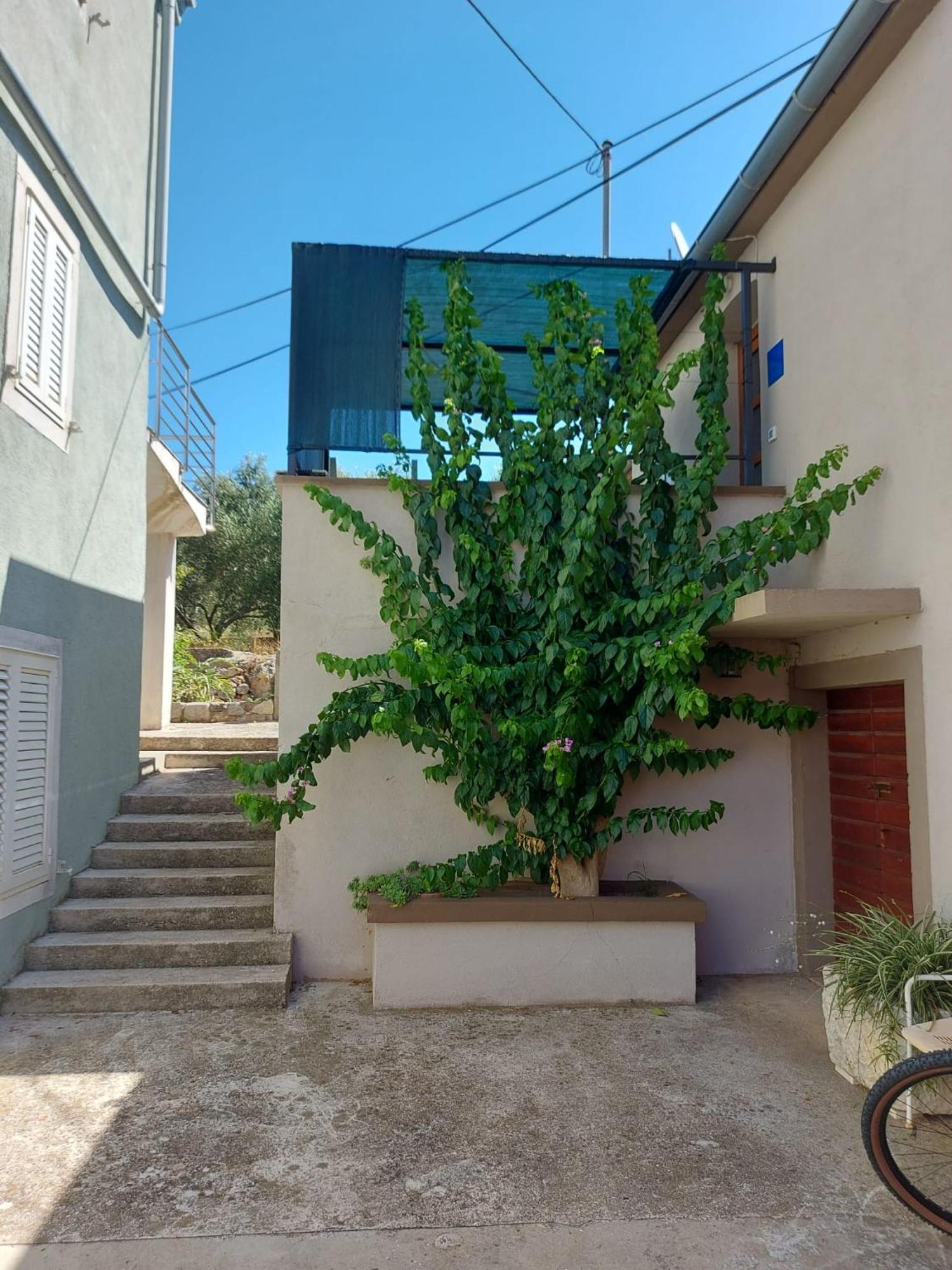 Apartmani Bugenvilija Brbinj Екстер'єр фото